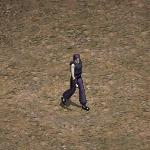 天堂遊戲迪卡圖示