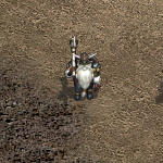 天堂遊戲侏儒族將軍圖示