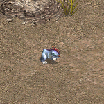 天堂遊戲幼龍圖示