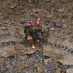 天堂遊戲喀瑪南圖示