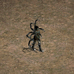 天堂遊戲芮克妮圖示