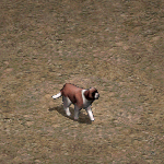 天堂遊戲聖伯納犬圖示