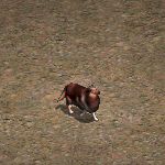 天堂遊戲柯利圖示