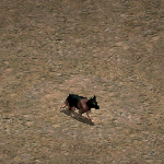 天堂遊戲牧羊犬圖示