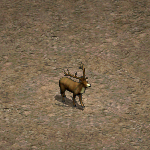 天堂遊戲鹿圖示