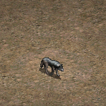 天堂遊戲狼圖示