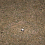 天堂遊戲兔子圖示